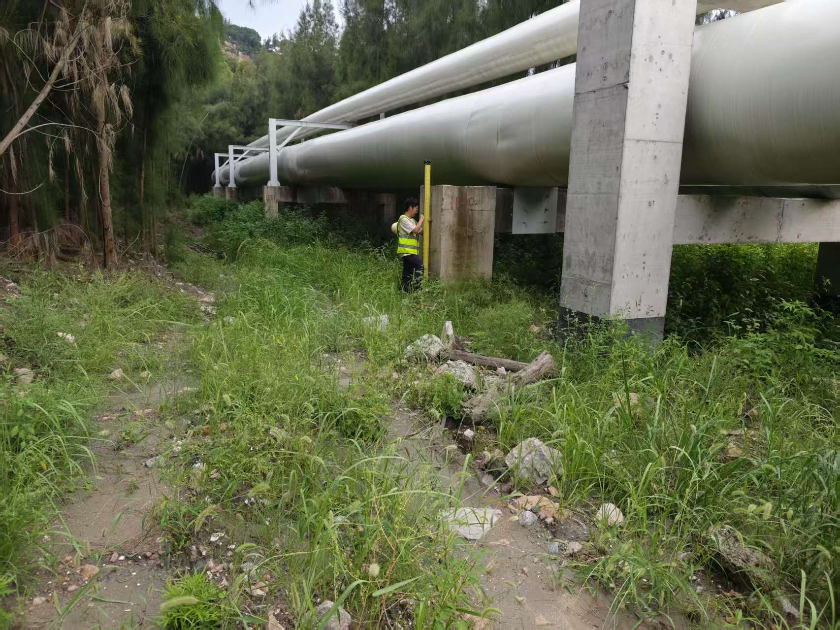 微信图片_20250724152936_85 微信图片_20250724152936_85