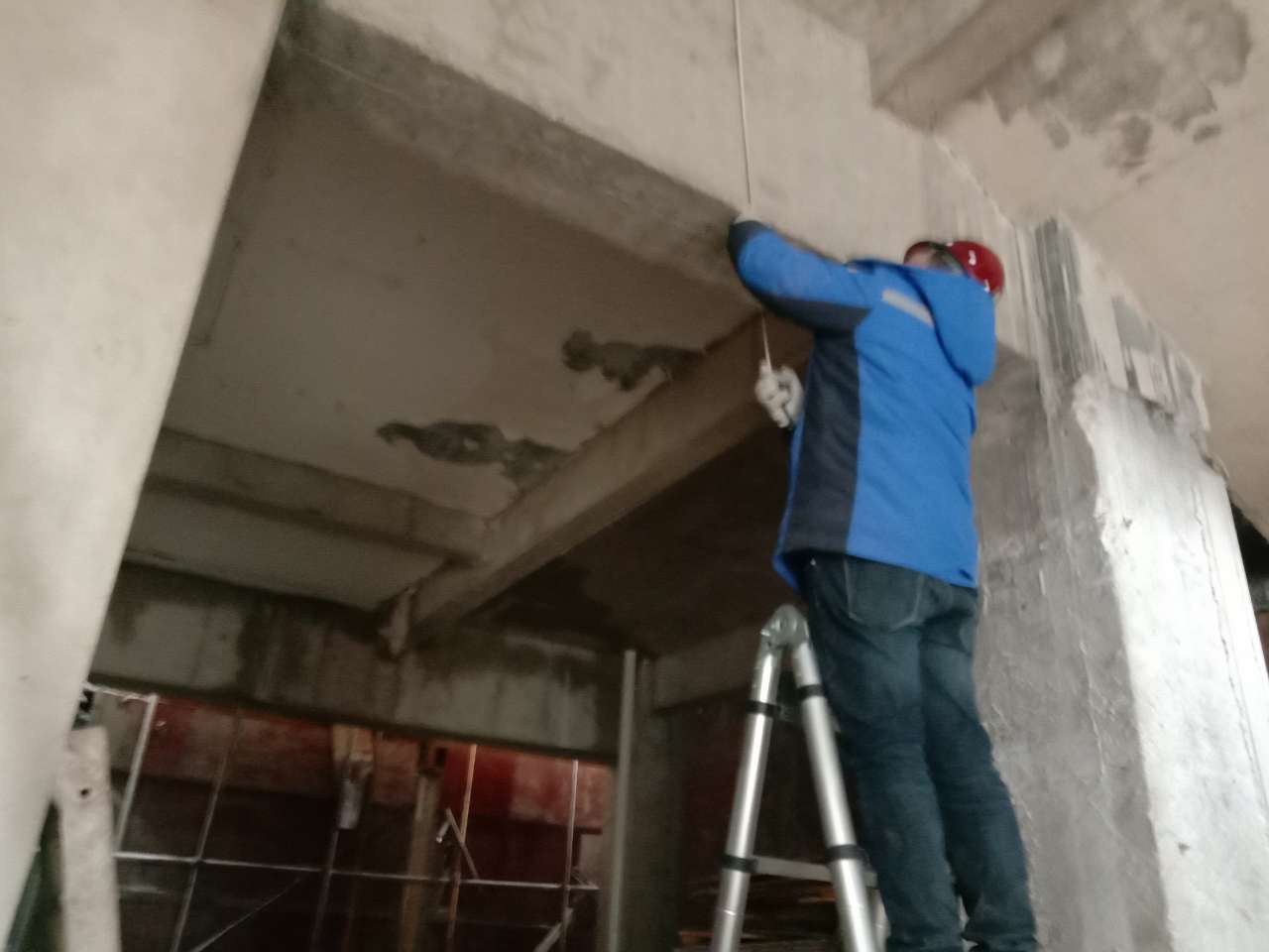 2025新澳门免费原料大全