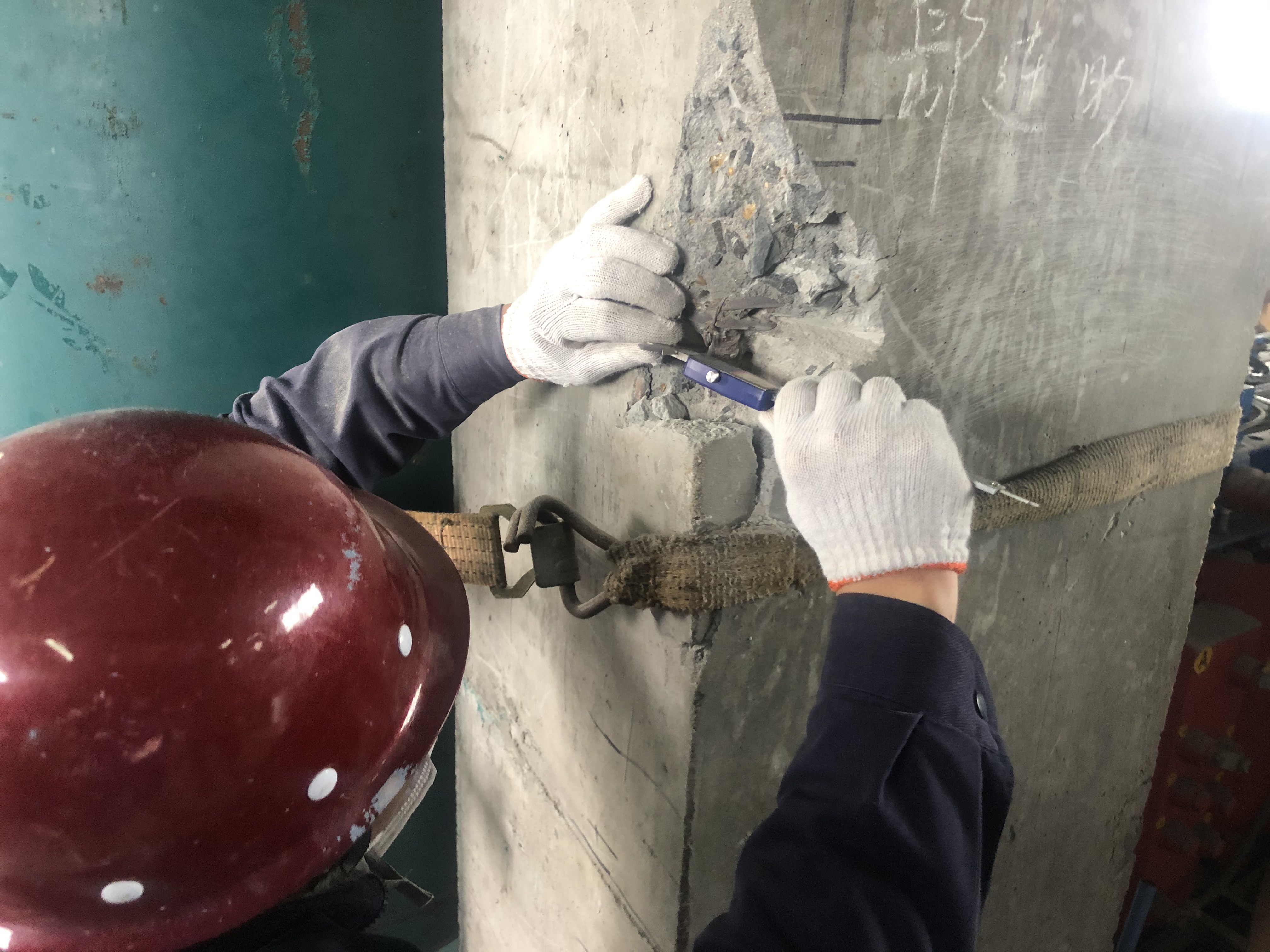 2025新澳门免费原料大全