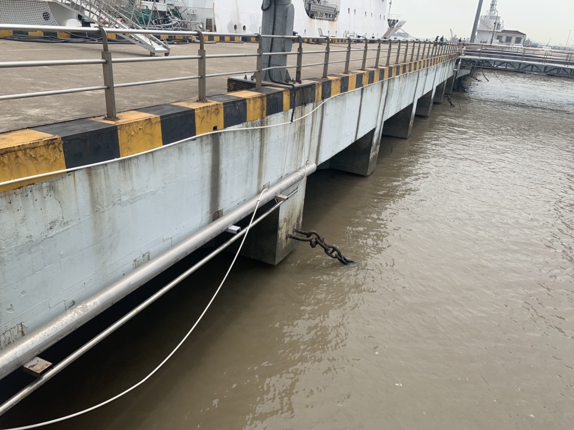 2025新澳门免费原料大全