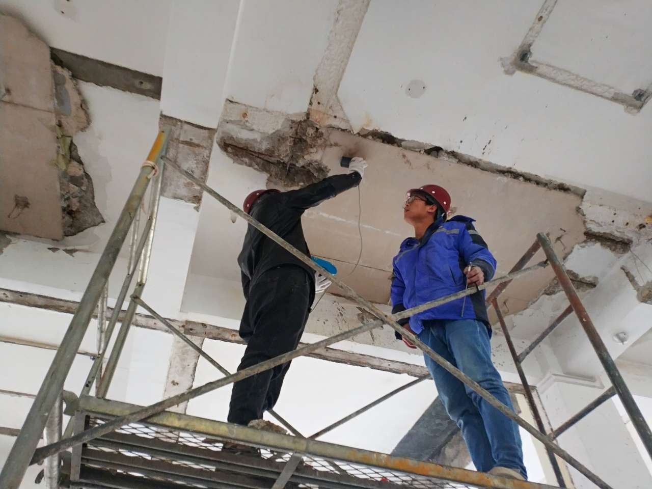 2025新澳门免费原料大全