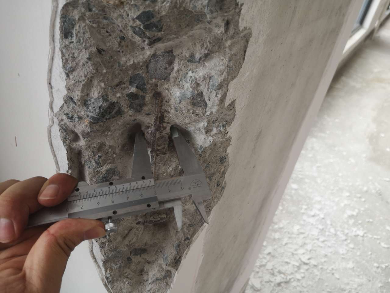 2025新澳门免费原料大全