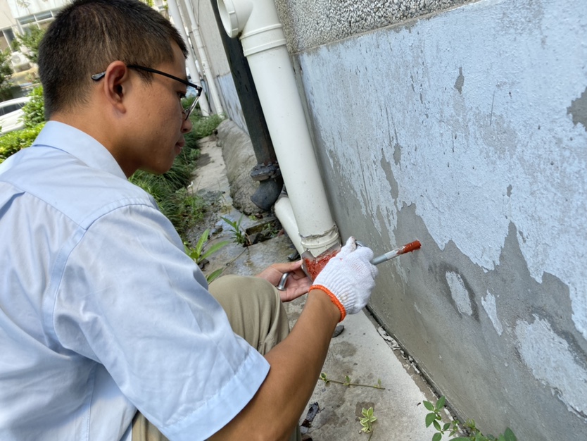 2025新澳门免费原料大全