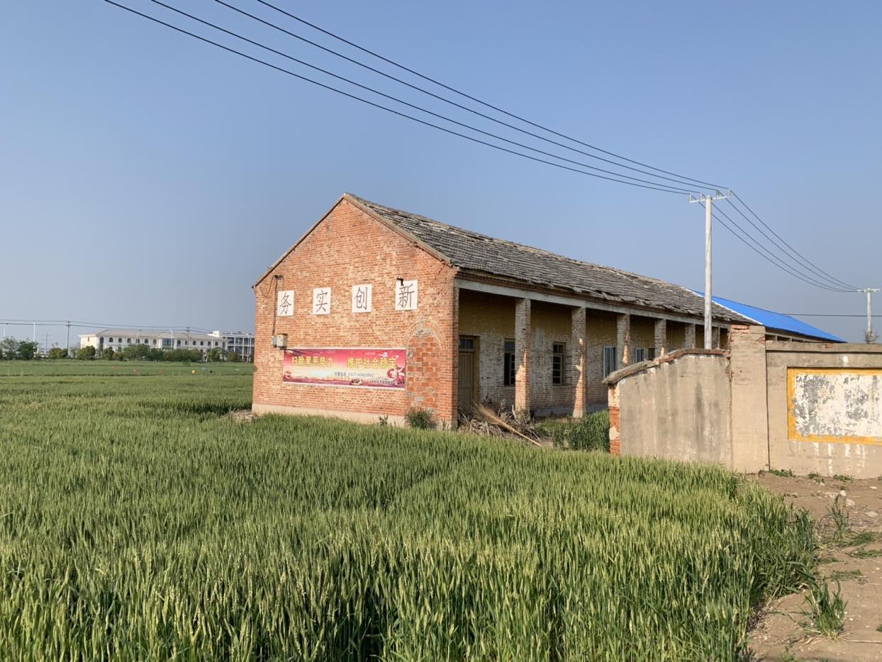 2025新澳门免费原料大全