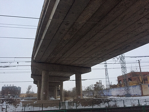 2025新澳门免费原料大全