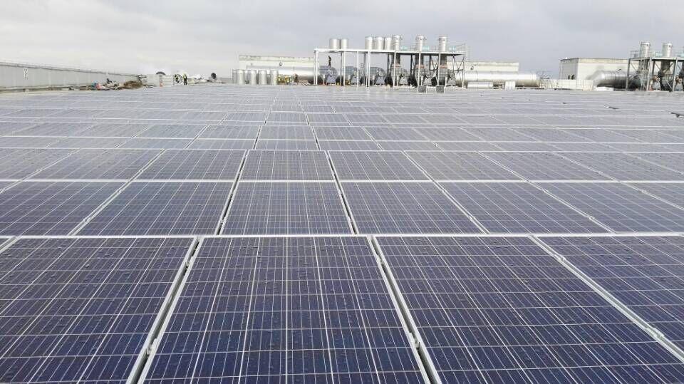 2025新澳门免费原料大全