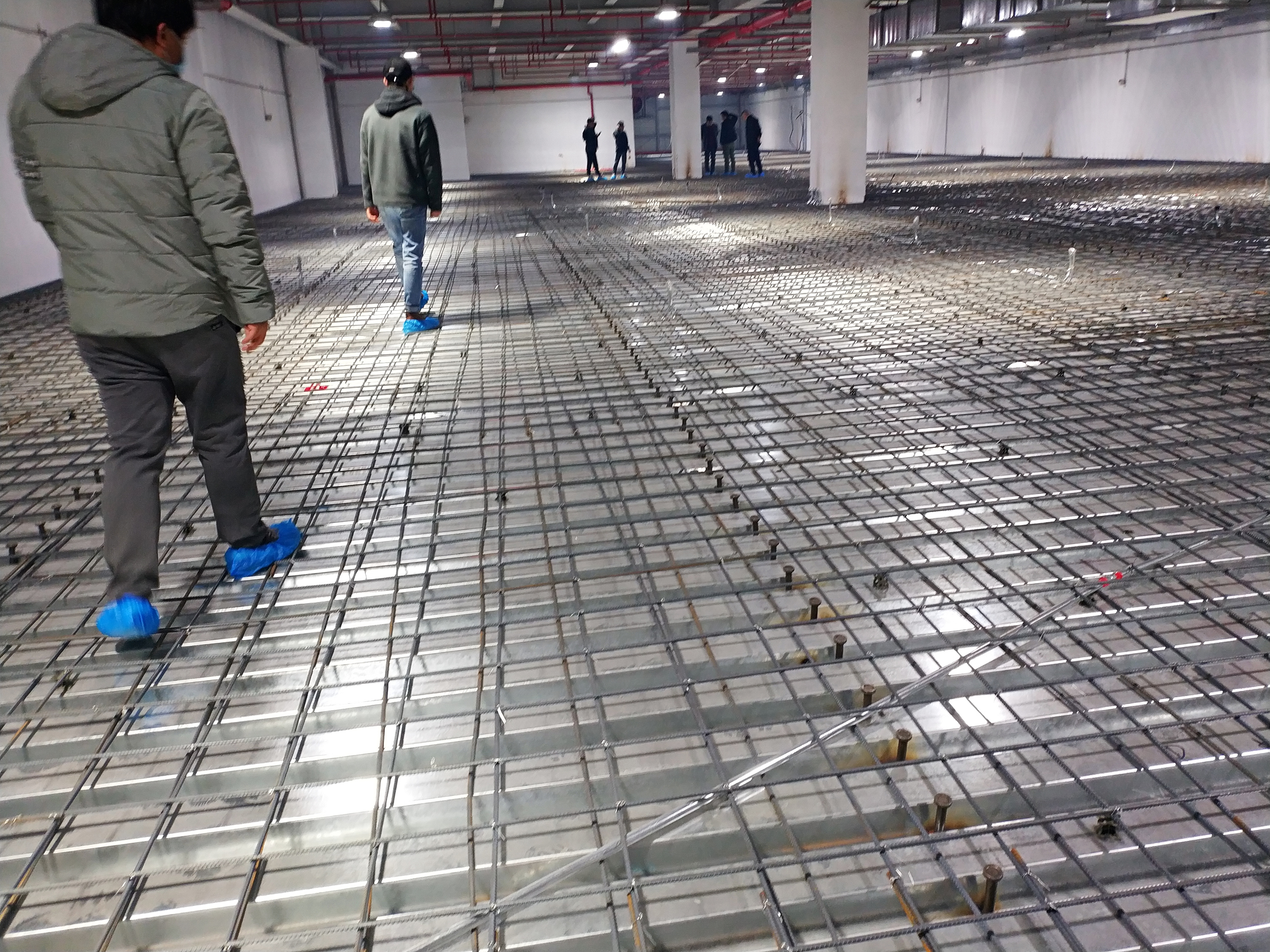 2025新澳门免费原料大全