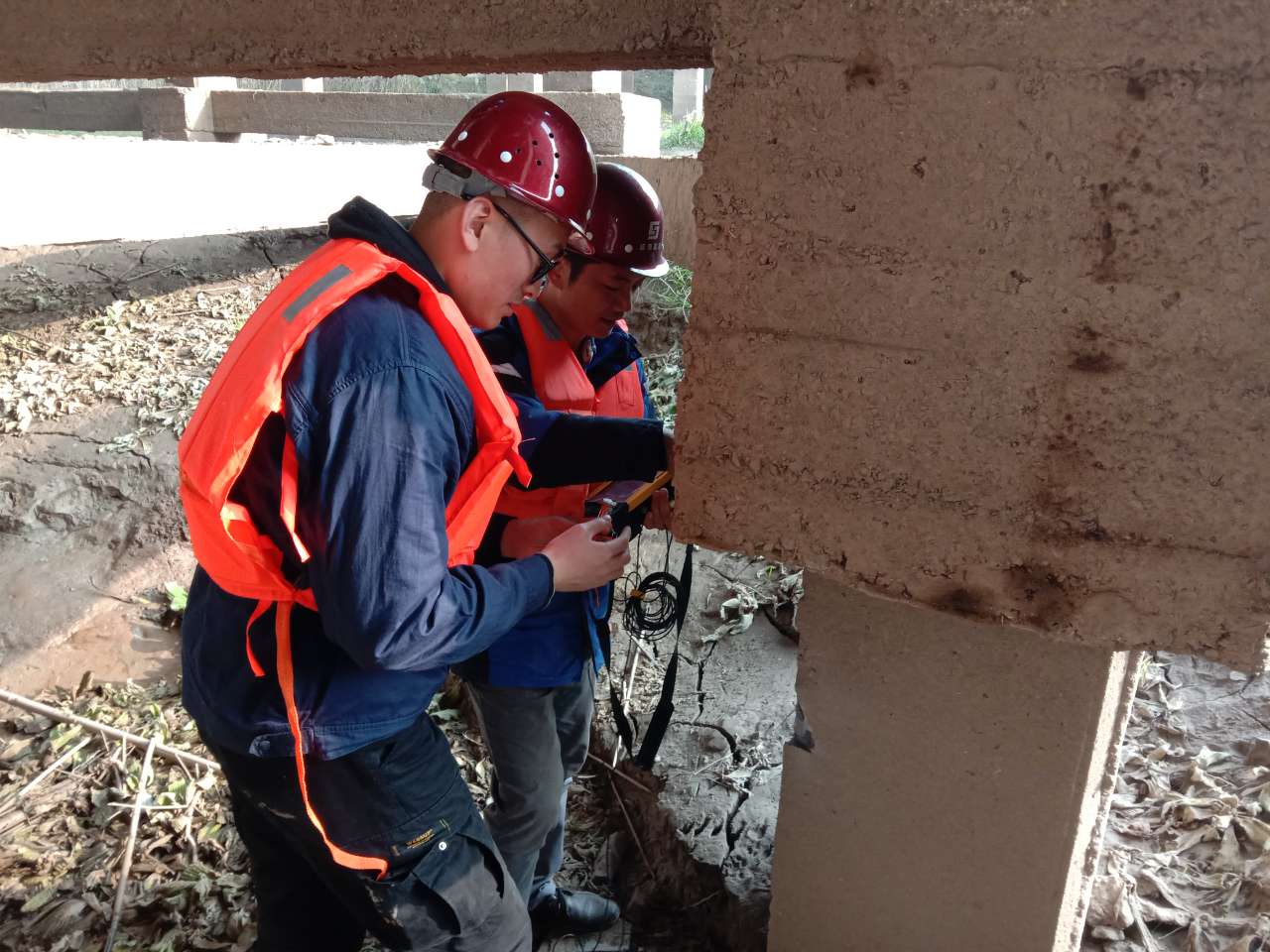 2025新澳门免费原料大全