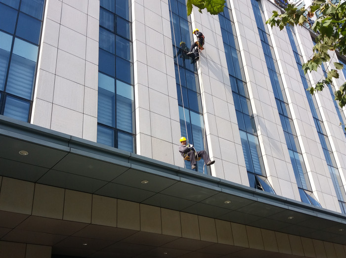 2025新澳门免费原料大全