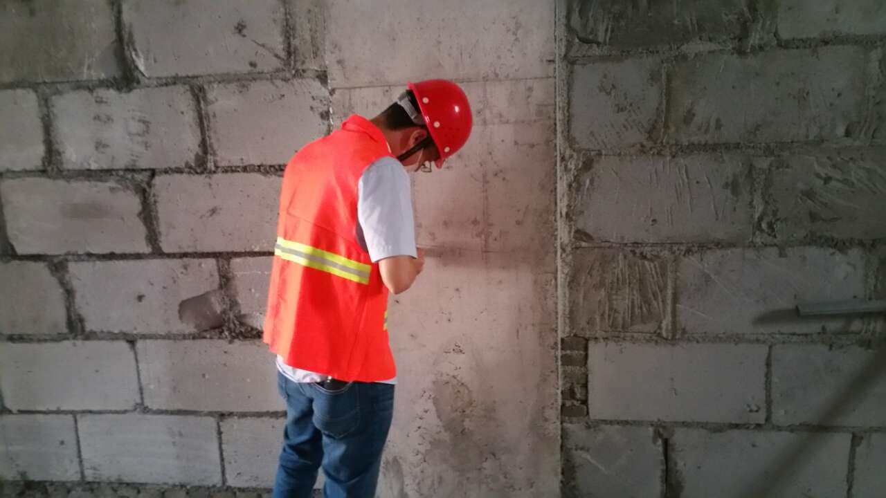 2025新澳门免费原料大全