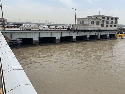 2025新澳门免费原料大全