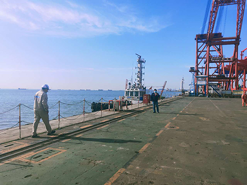 2025新澳门免费原料大全