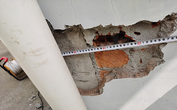 2025新澳门免费原料大全