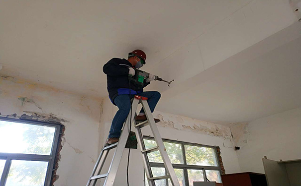 2025新澳门免费原料大全