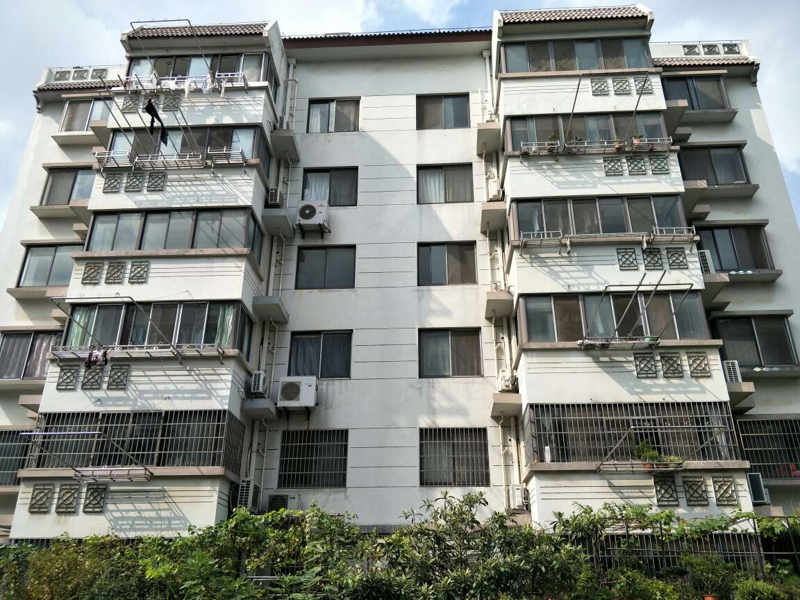 2025新澳门免费原料大全