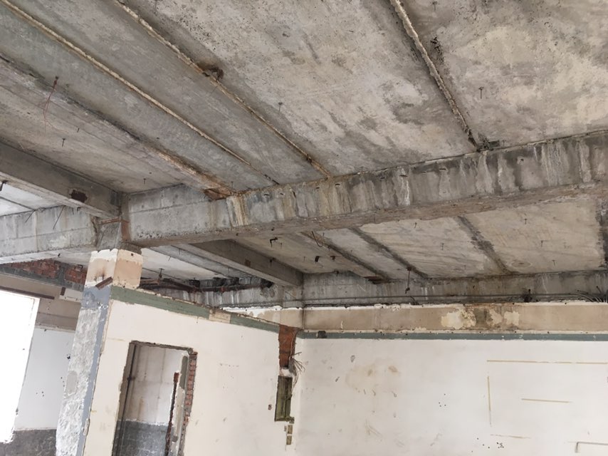 2025新澳门免费原料大全