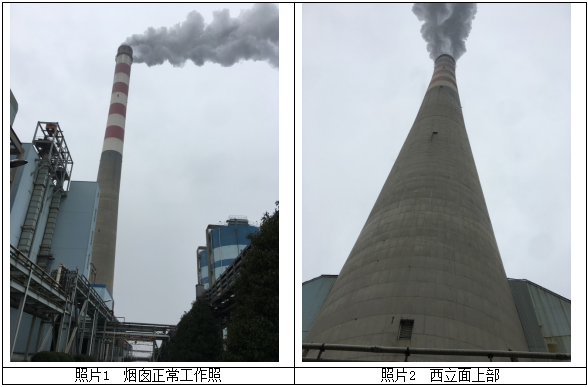 2025新澳门免费原料大全