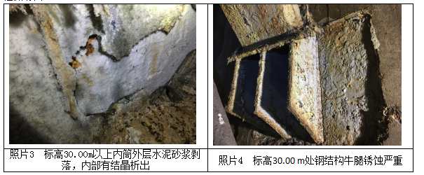 2025新澳门免费原料大全