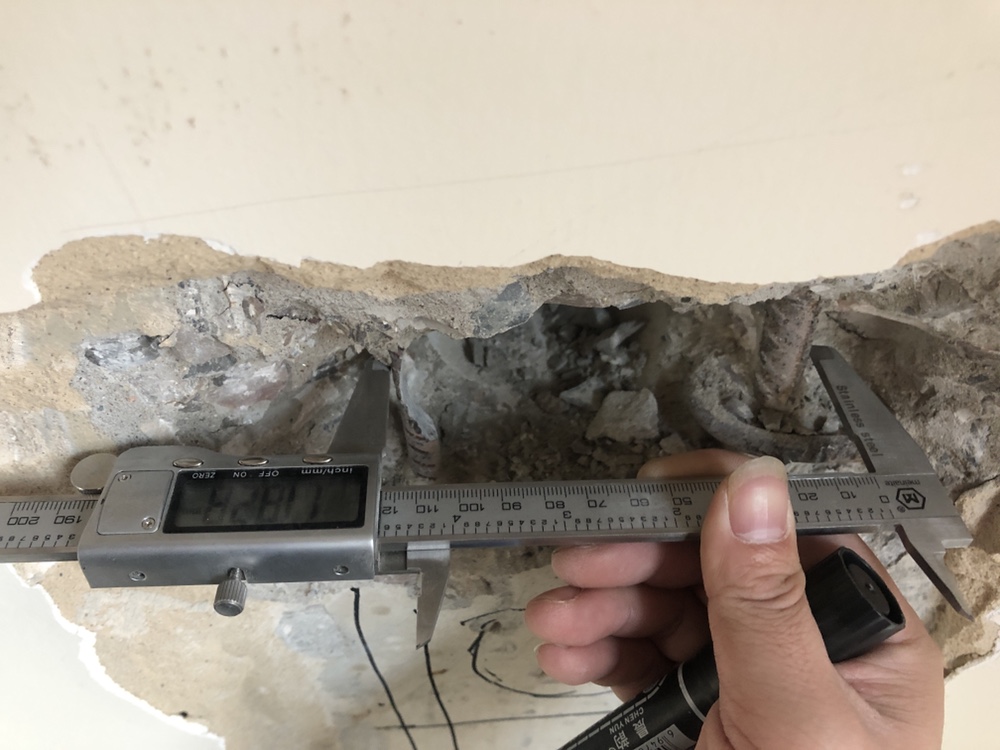 2025新澳门免费原料大全