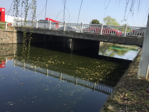 2025新澳门免费原料大全