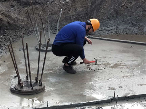 2025新澳门免费原料大全