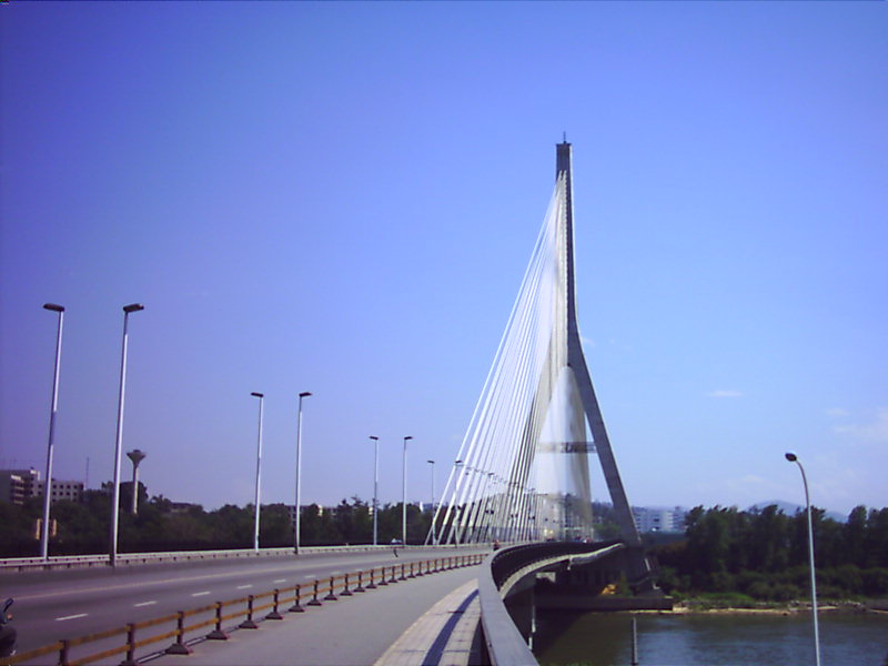 2025新澳门免费原料大全