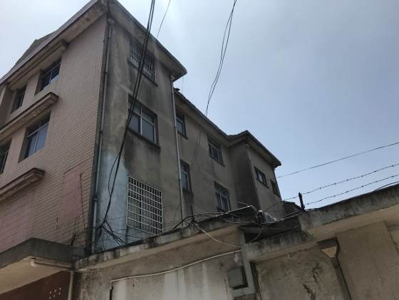 2025新澳门免费原料大全